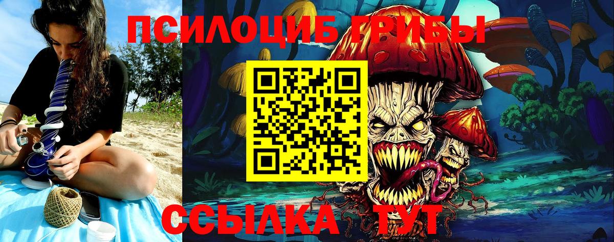 Галлюциногенные грибы Magic Shrooms Тюмень