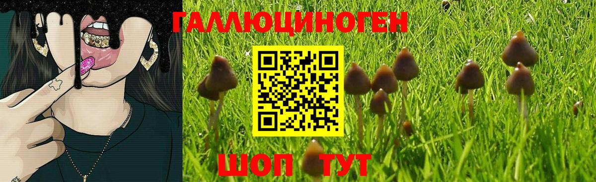 Галлюциногенные грибы Magic Shrooms  Вход с VPN  Тюмень 